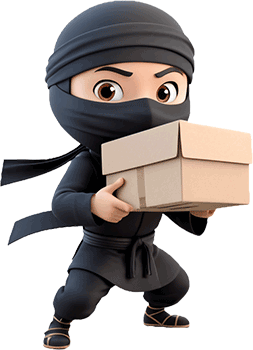 Ninja holding a shipping box